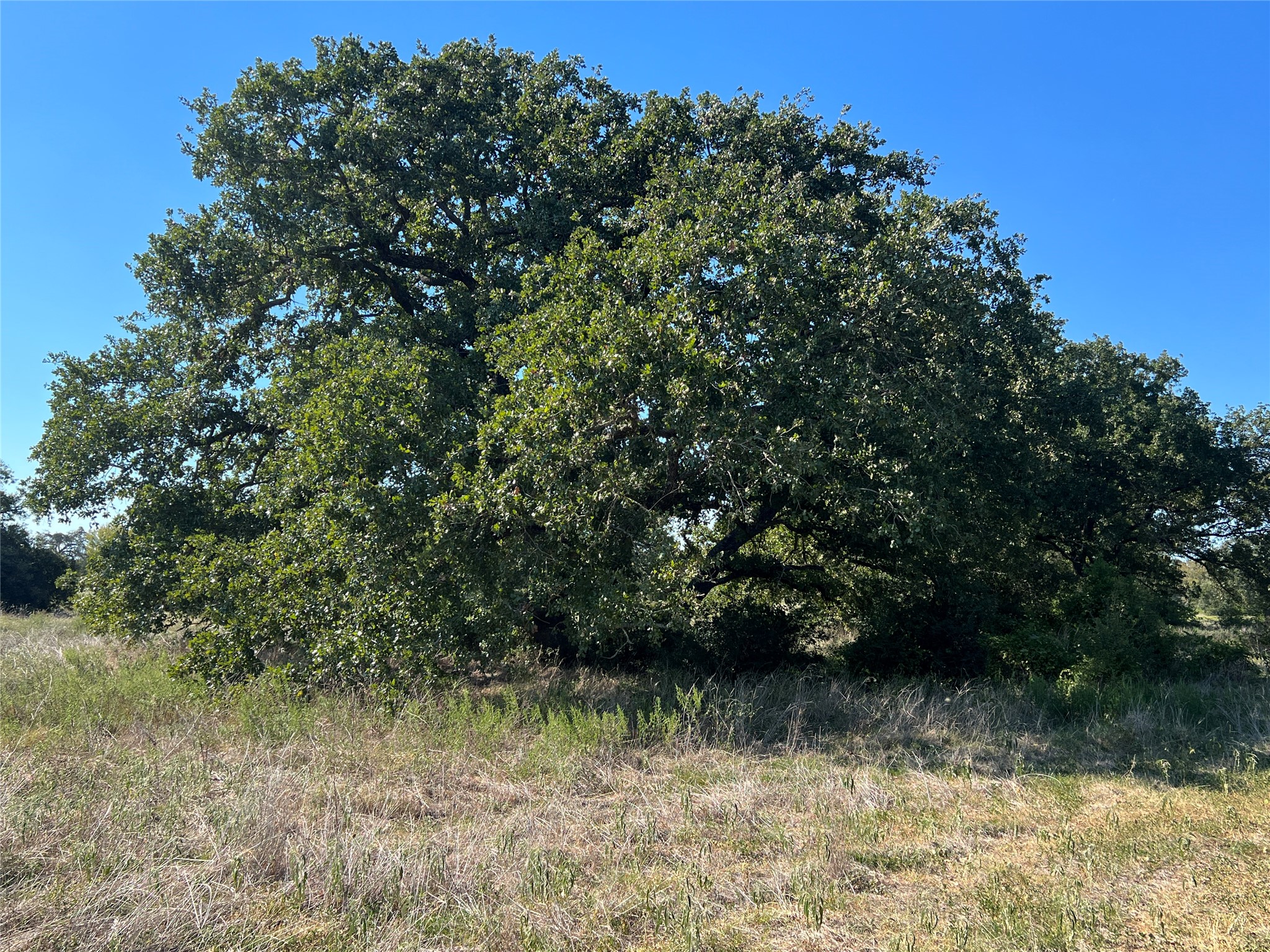 0080 County Road 415 Property Photo 35