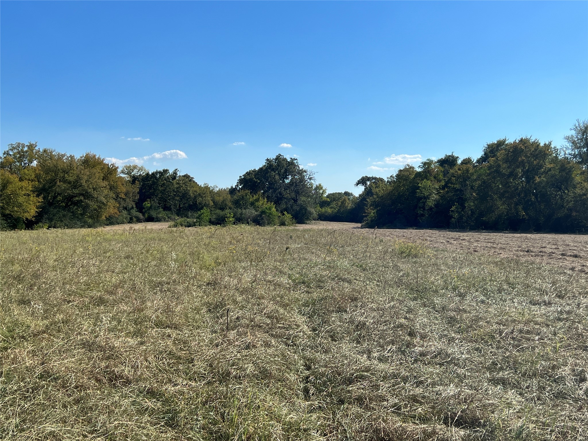 0080 County Road 415 Property Photo 45