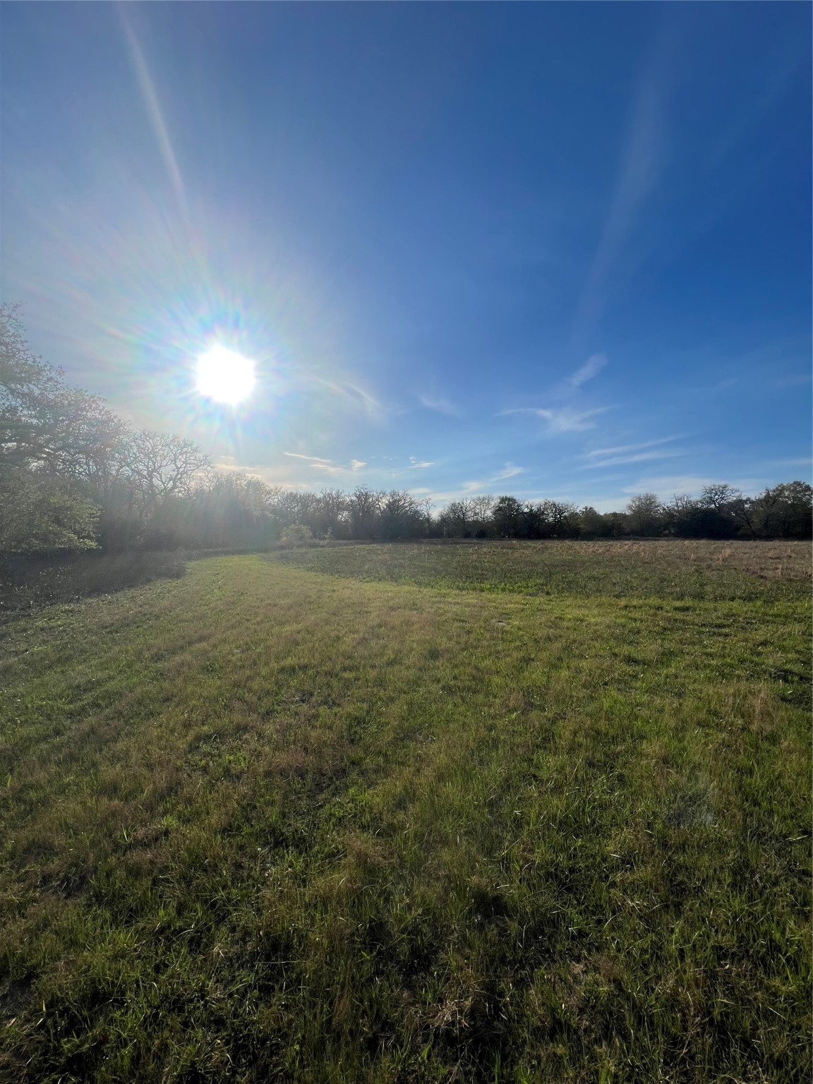 197- Ezzell Real Estate Listings Main Image