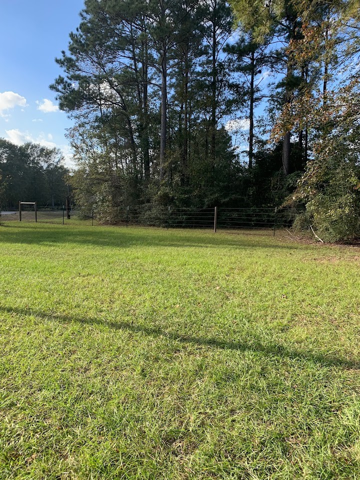 6735 Highway 36 Property Photo 8