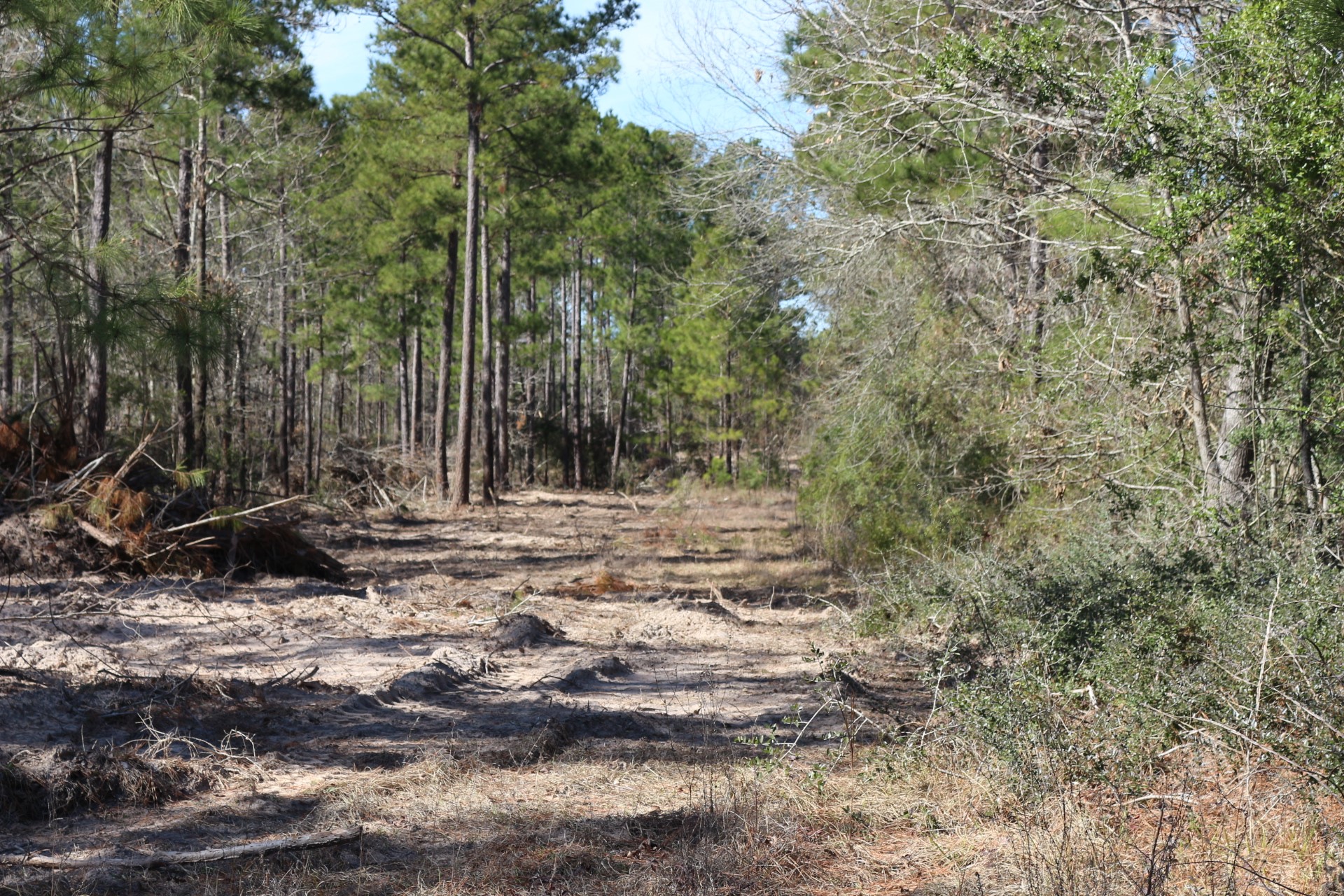 8-2 N Hwy 356 Property Photo 46