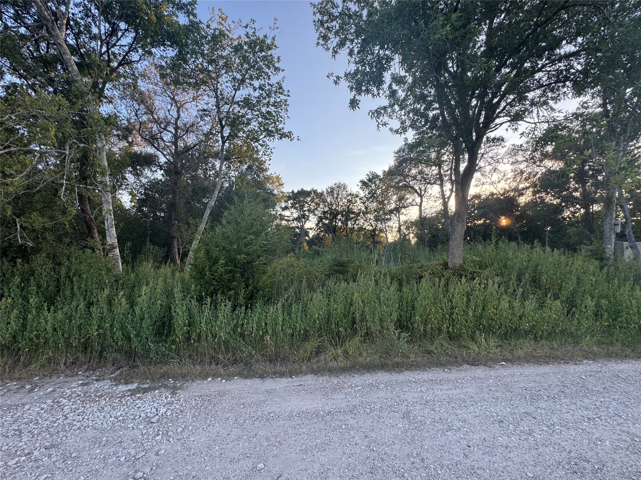 20310 Spruce Forest Property Photo 1
