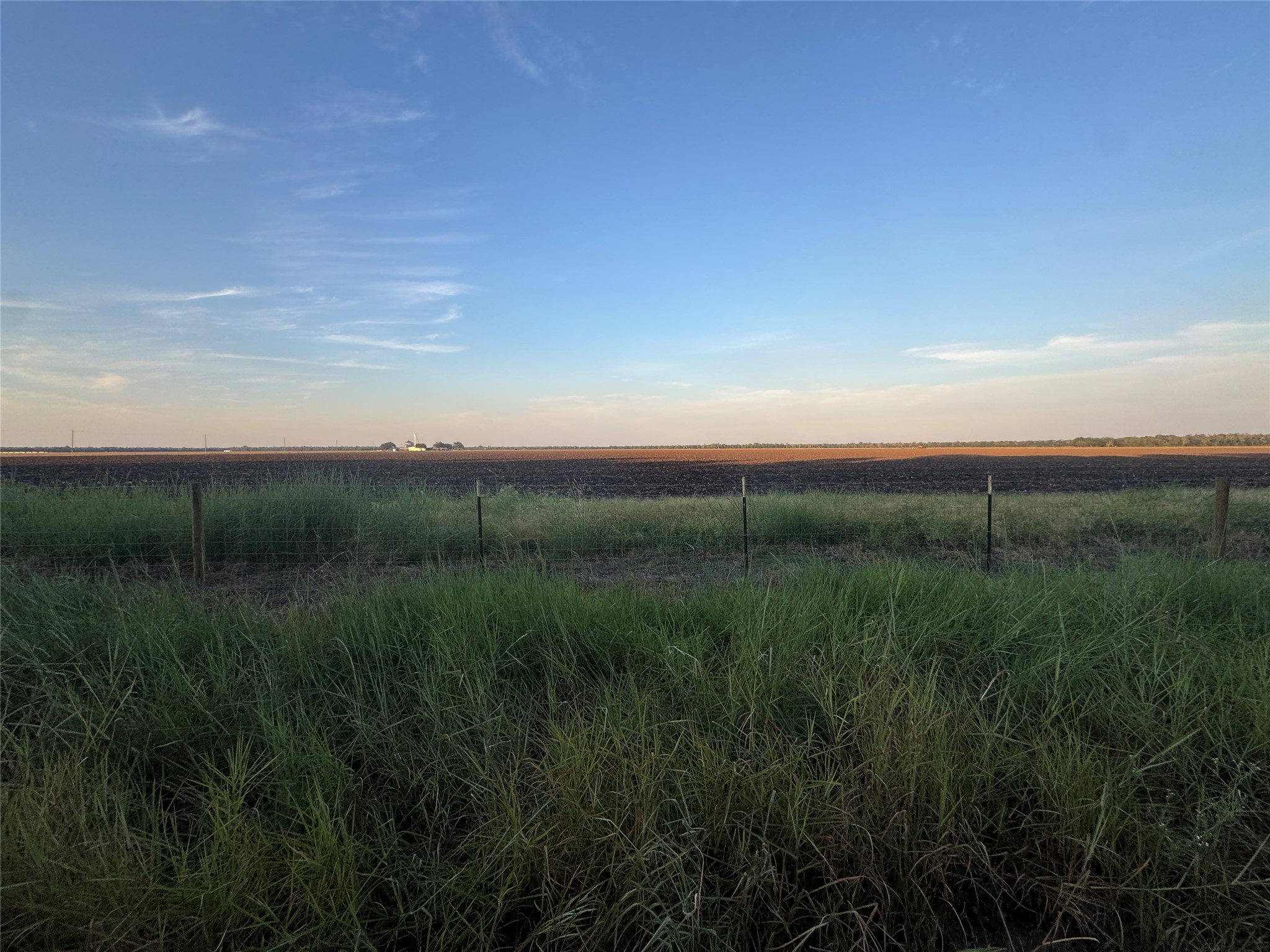 20310 Spruce Forest Property Photo 4