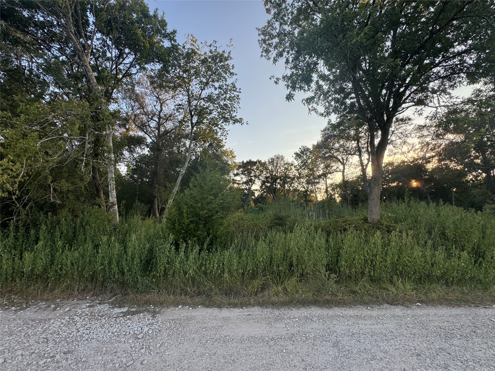 20310 Spruce Forest Property Photo 5