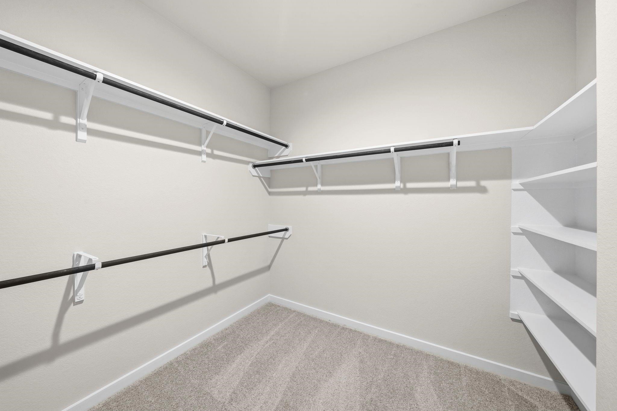 2181 Sunflower View Street Property Photo 21