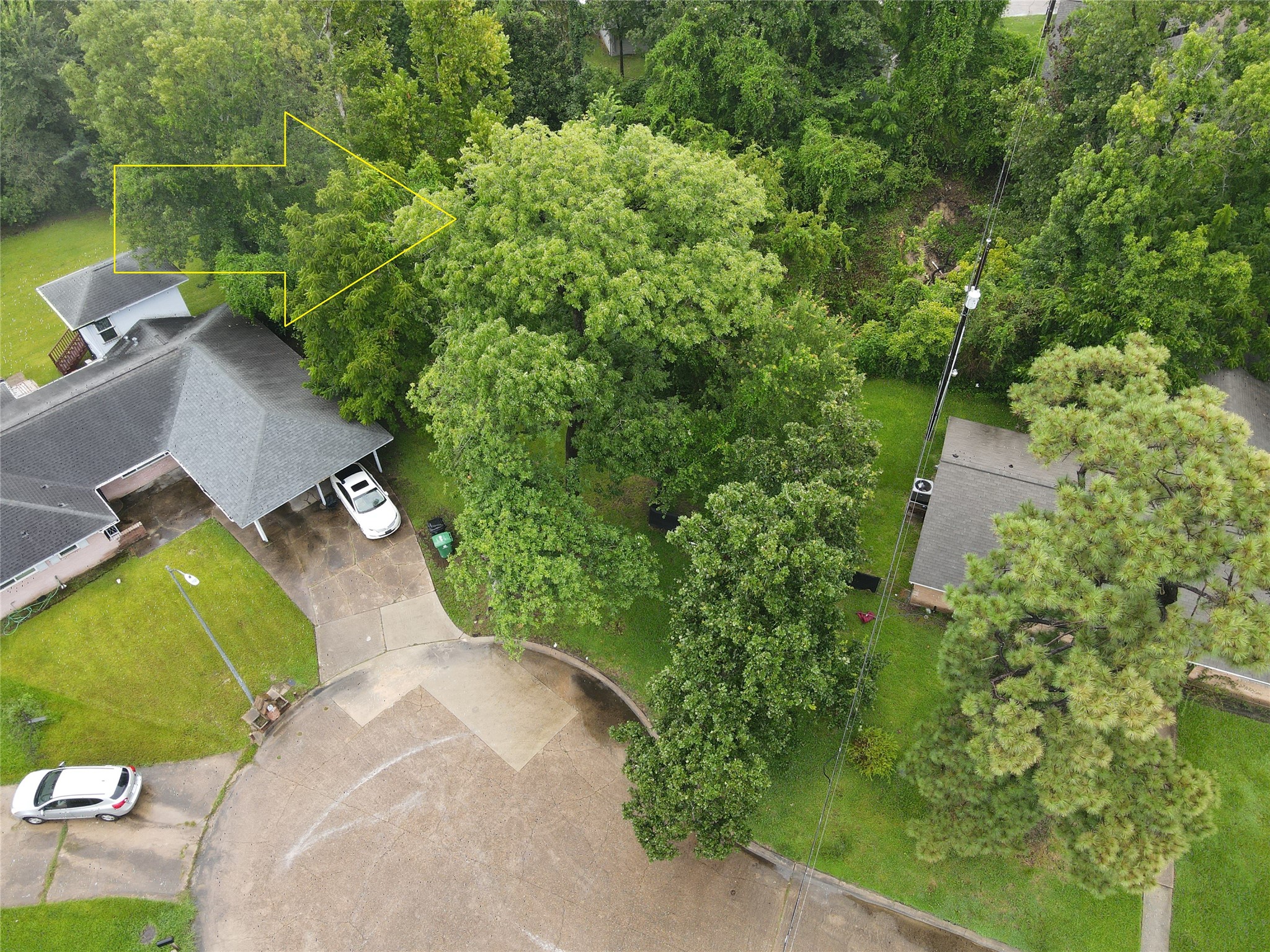 9307 Ribbonwood Street Property Photo 1