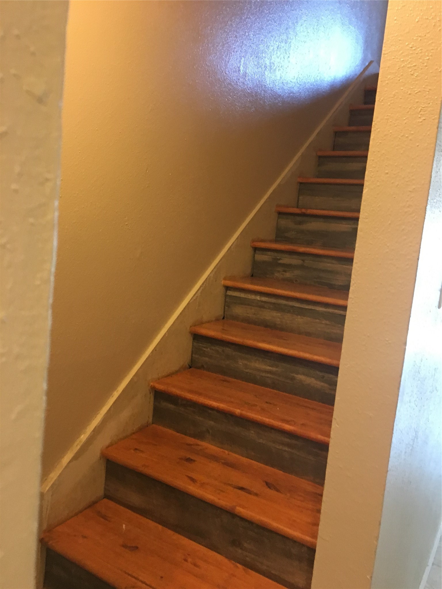 7952 Grove Ridge Drive Property Photo 12