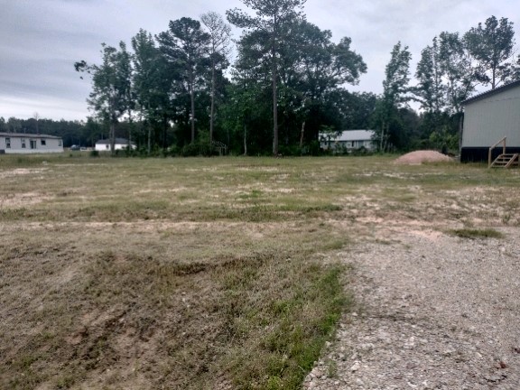 12161 Trackside Dr Property Photo 5