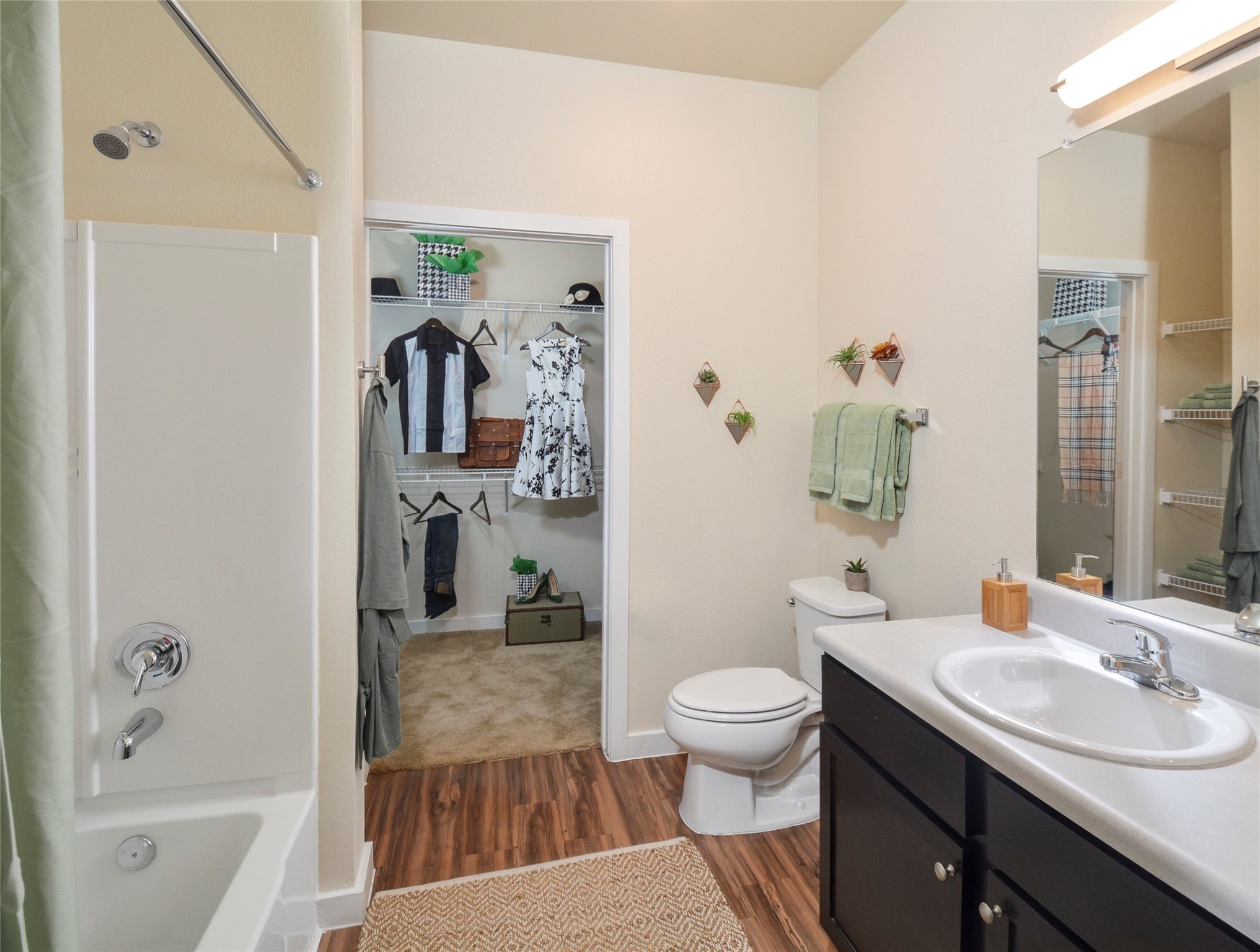 10148 Culebra Road Property Photo 17