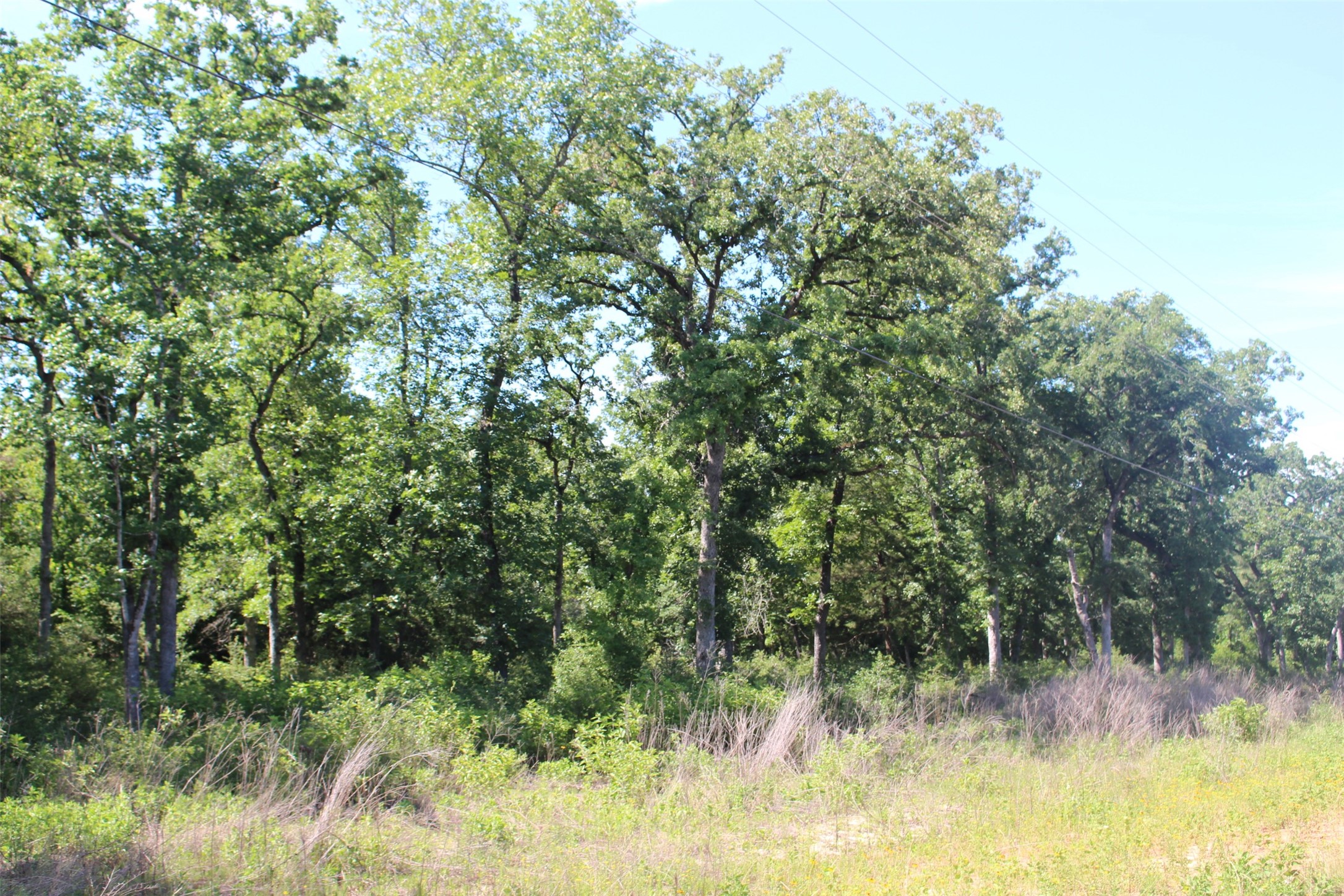 Tract 142 Private Road 1311 Property Photo 14
