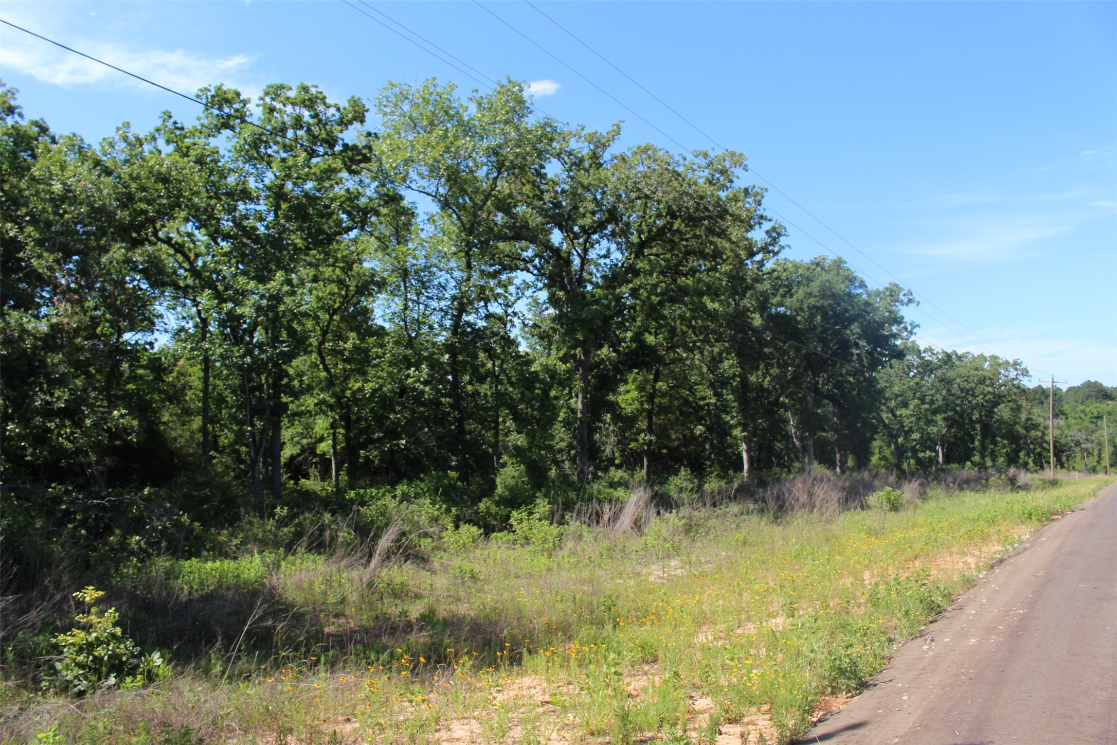 Tract 142 Private Road 1311 Property Photo 15