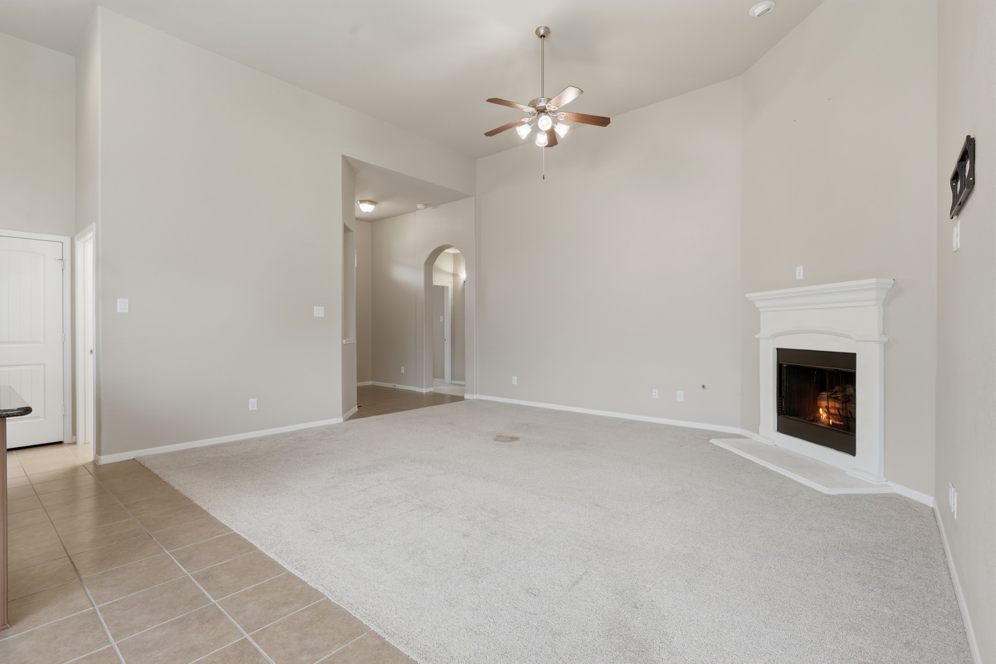 506 Carson Ridge Drive Property Photo 7
