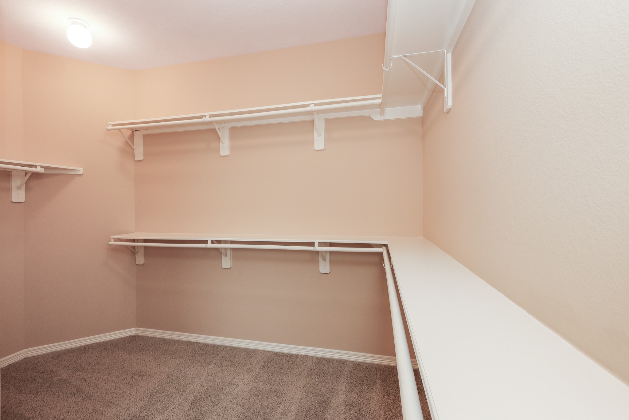 6135 Carver Pines Drive Property Photo 21