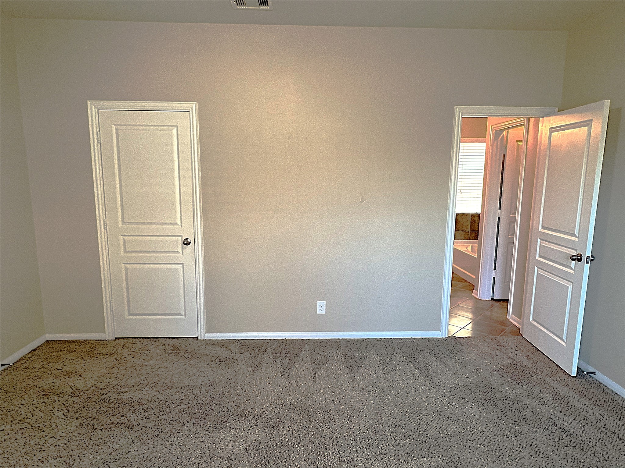 17222 Hannah Oaks Lane Property Photo 14