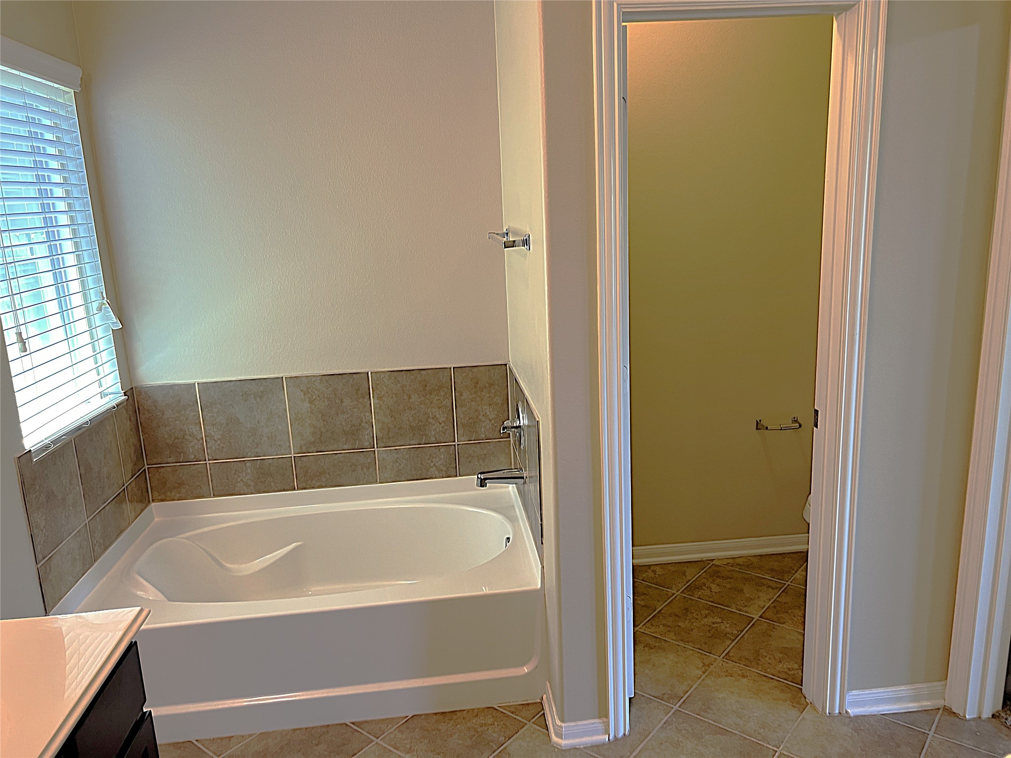 17222 Hannah Oaks Lane Property Photo 17