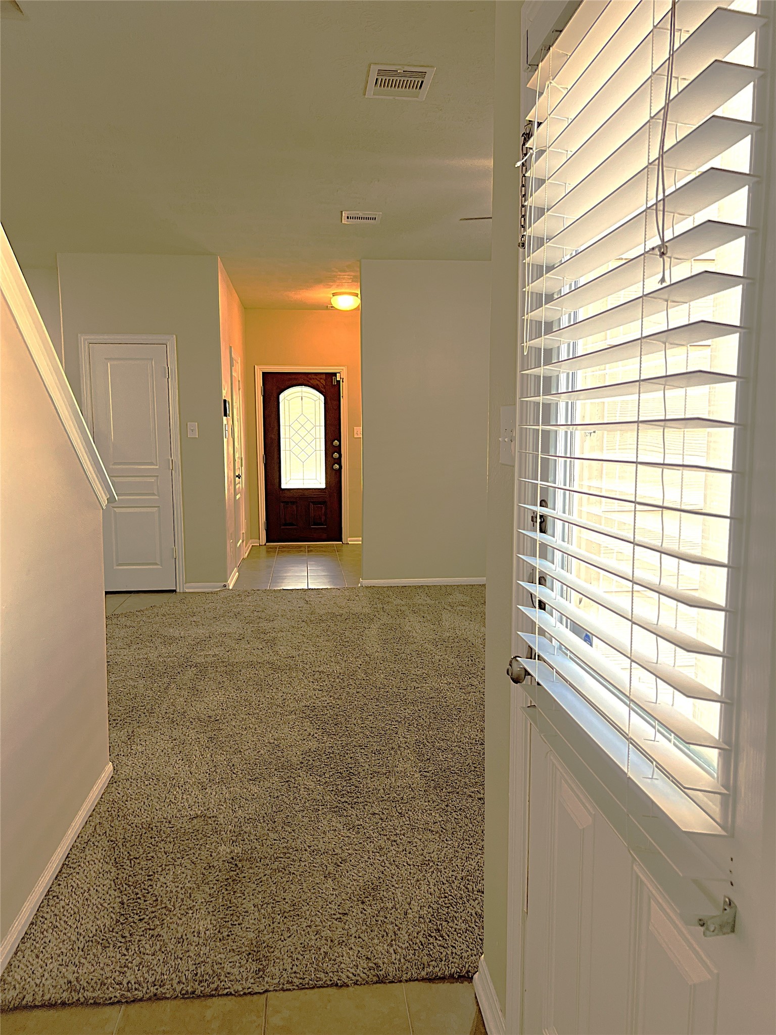 17222 Hannah Oaks Lane Property Photo 19