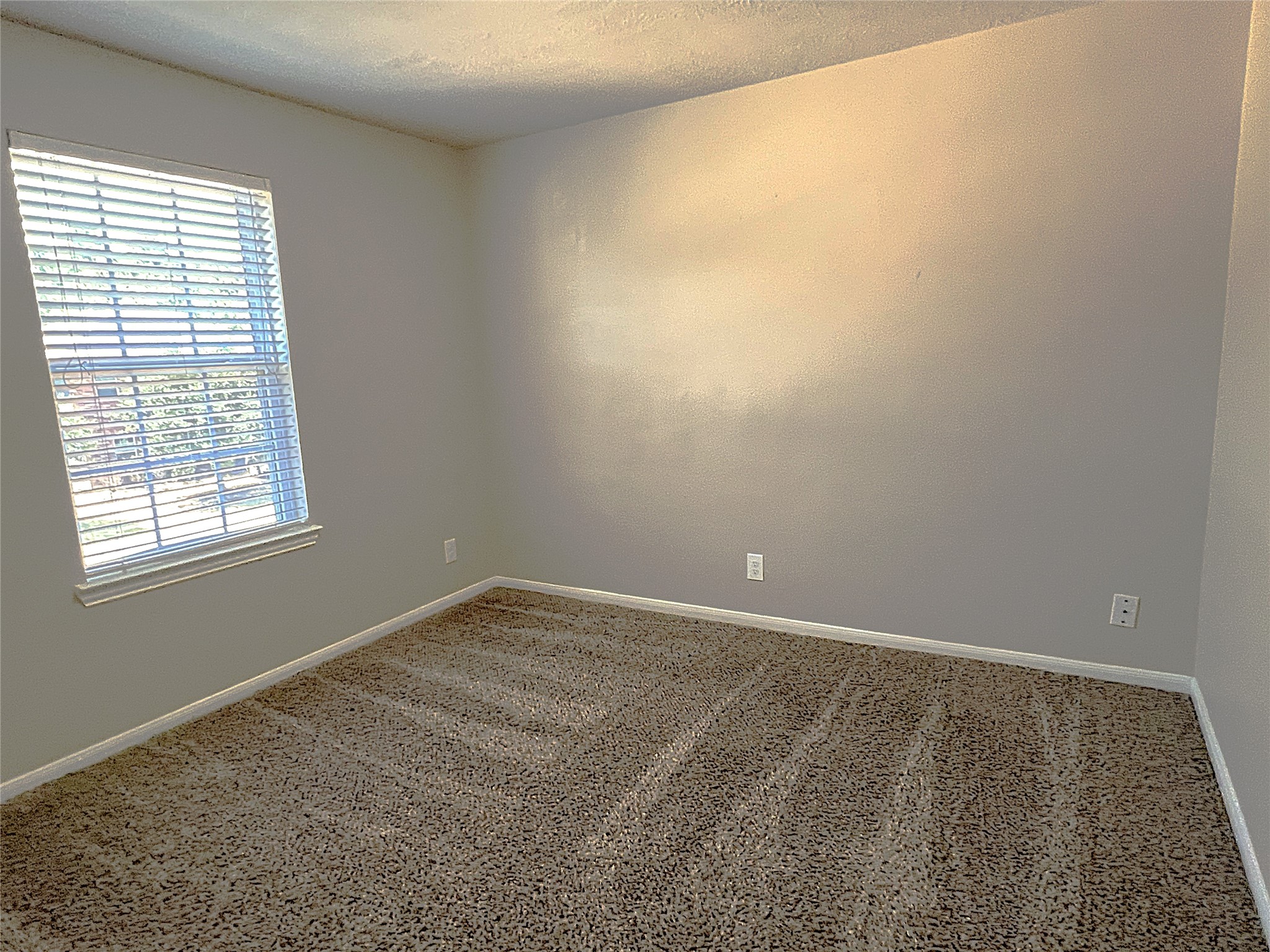17222 Hannah Oaks Lane Property Photo 33