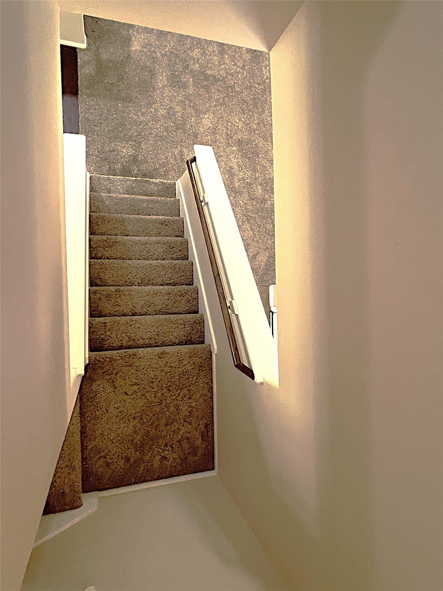 17222 Hannah Oaks Lane Property Photo 35
