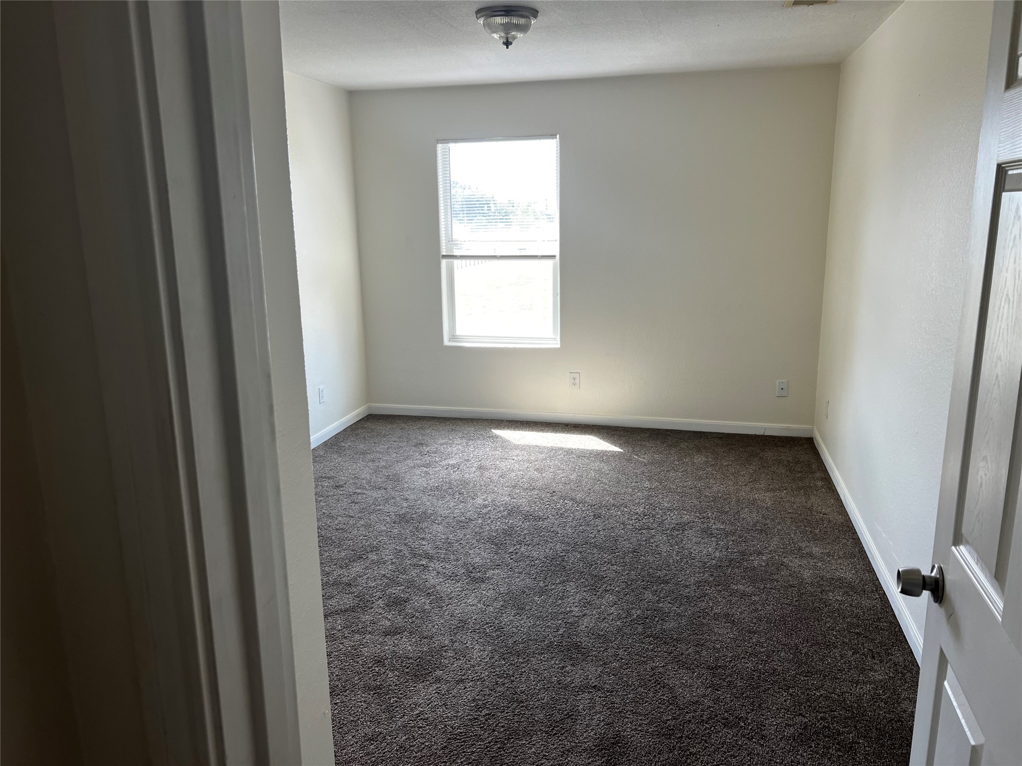 4123 Nathans Park Place Property Photo 19
