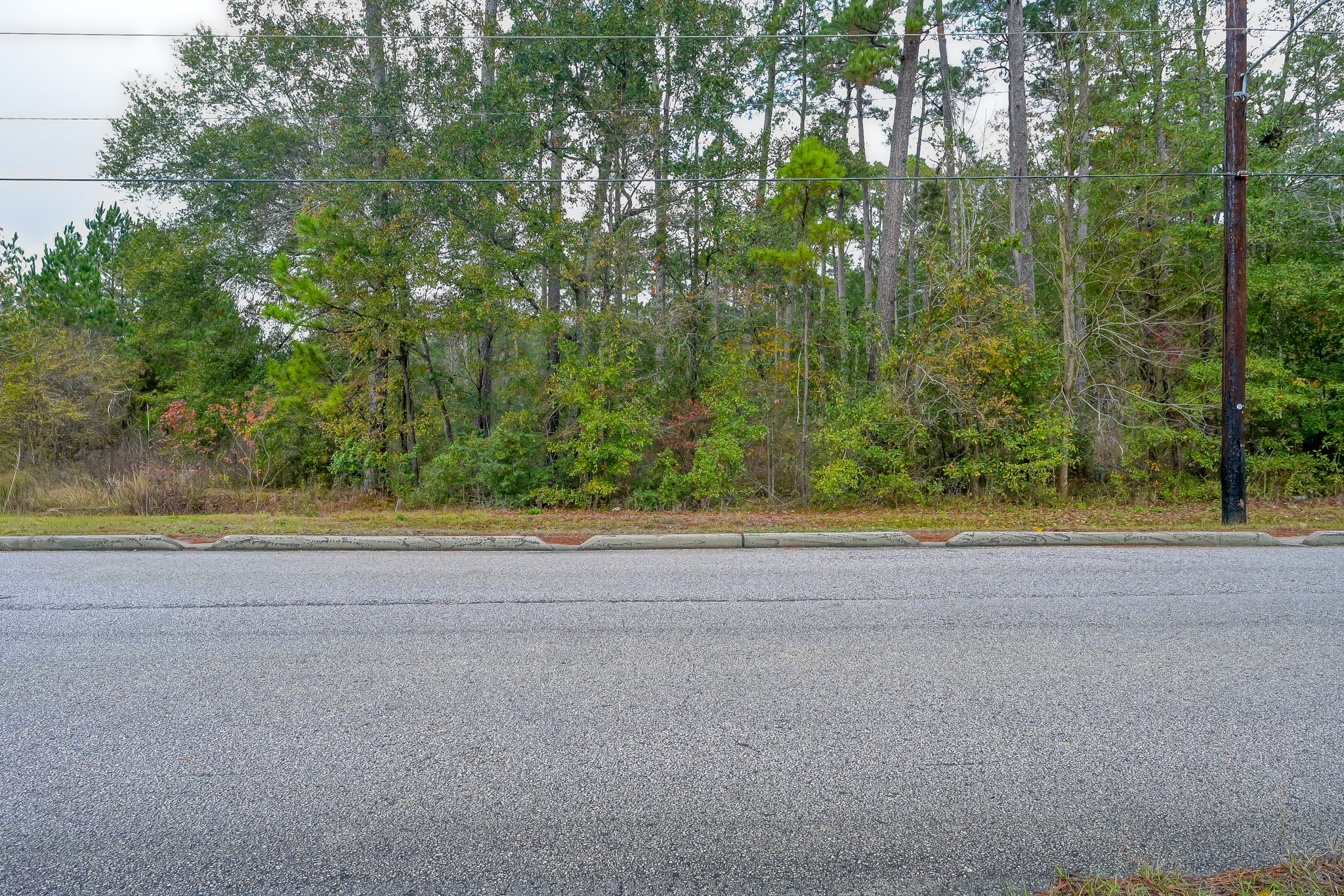 0 Foster Drive Property Photo 3