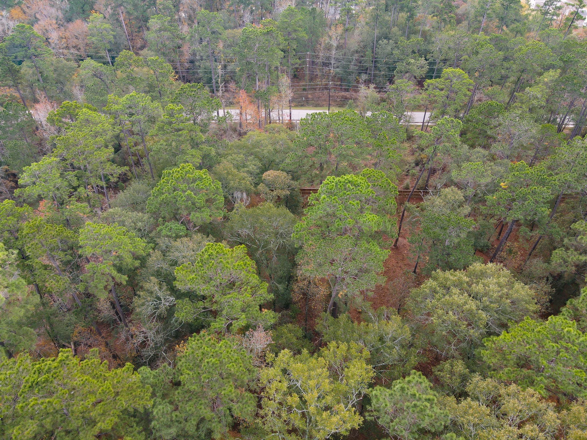 0 Foster Drive Property Photo 10