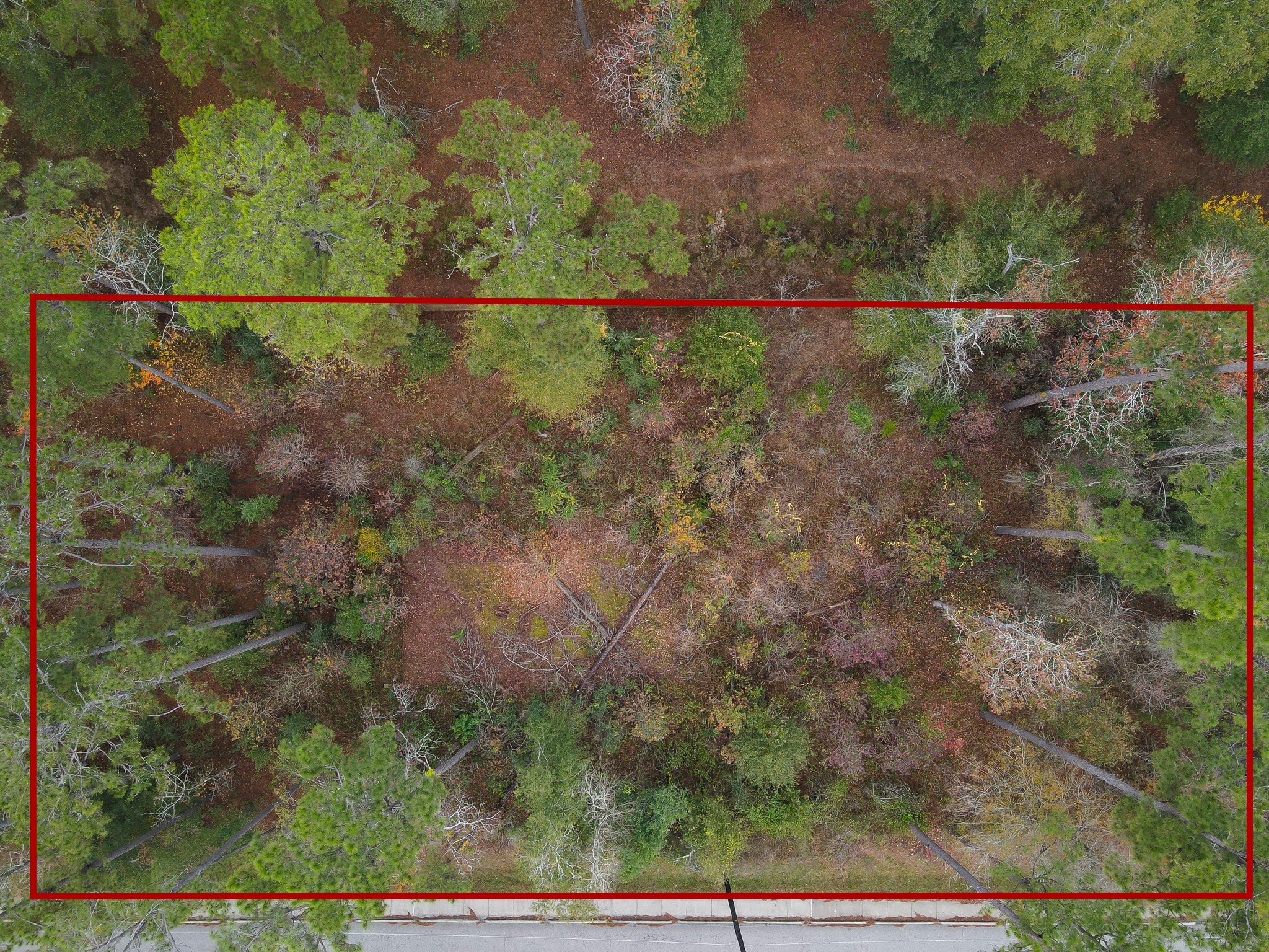 0 Foster Drive Property Photo 14