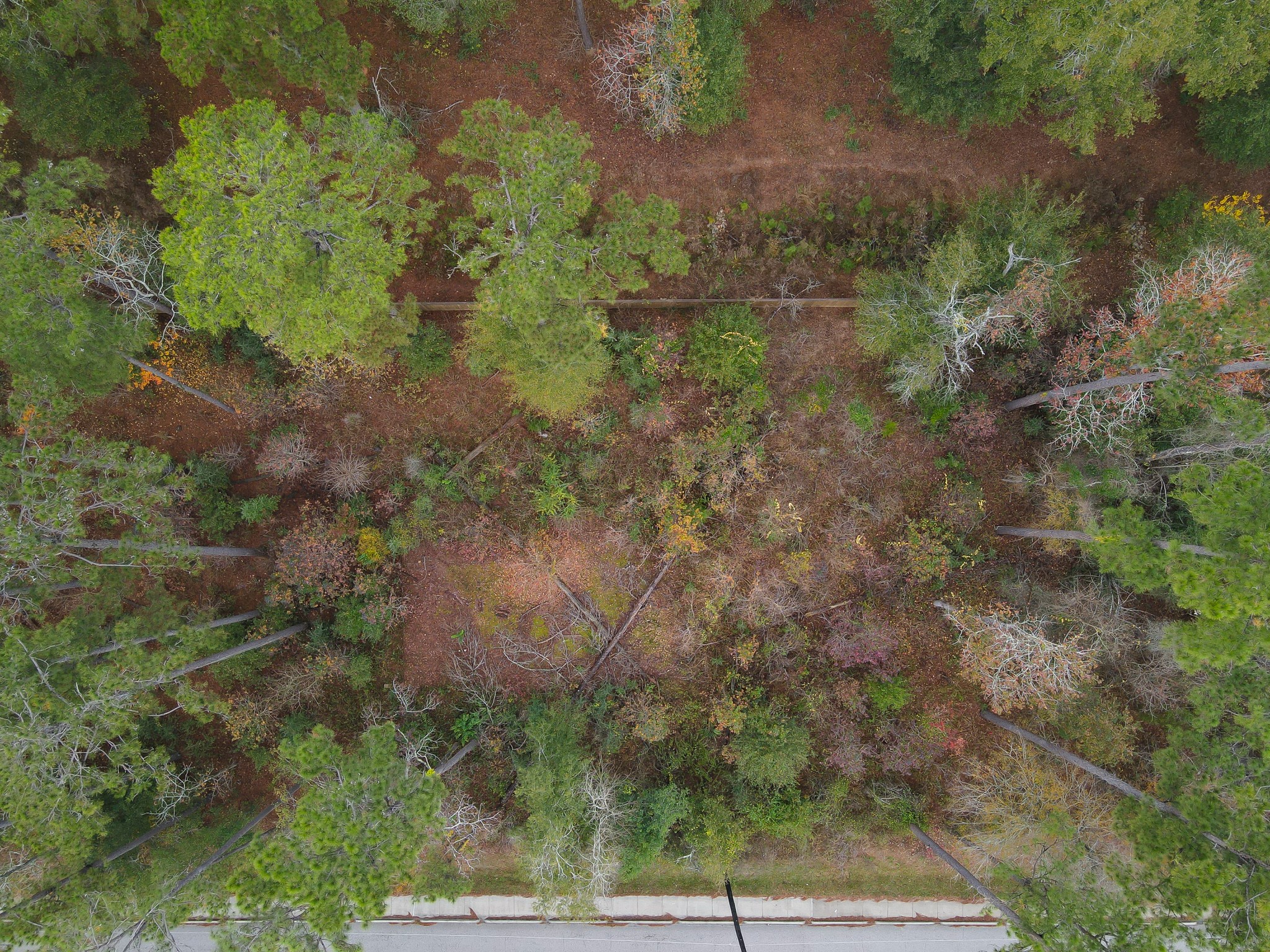 0 Foster Drive Property Photo 15