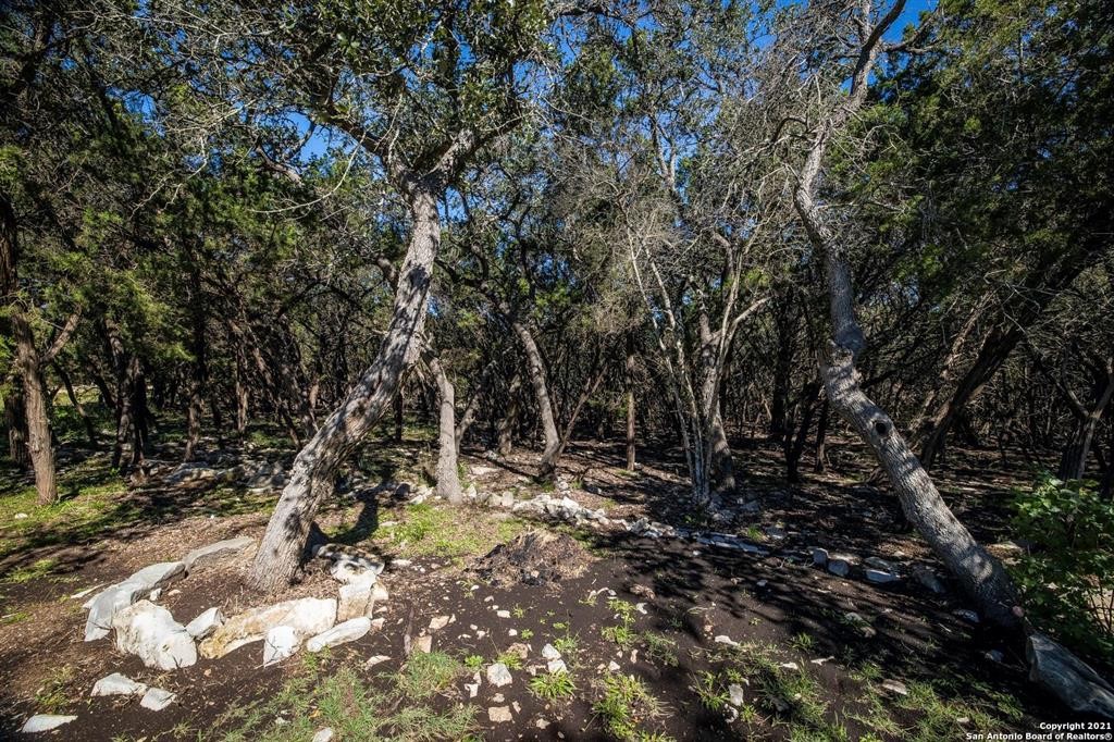 2224 Misty Hollow Property Photo 6