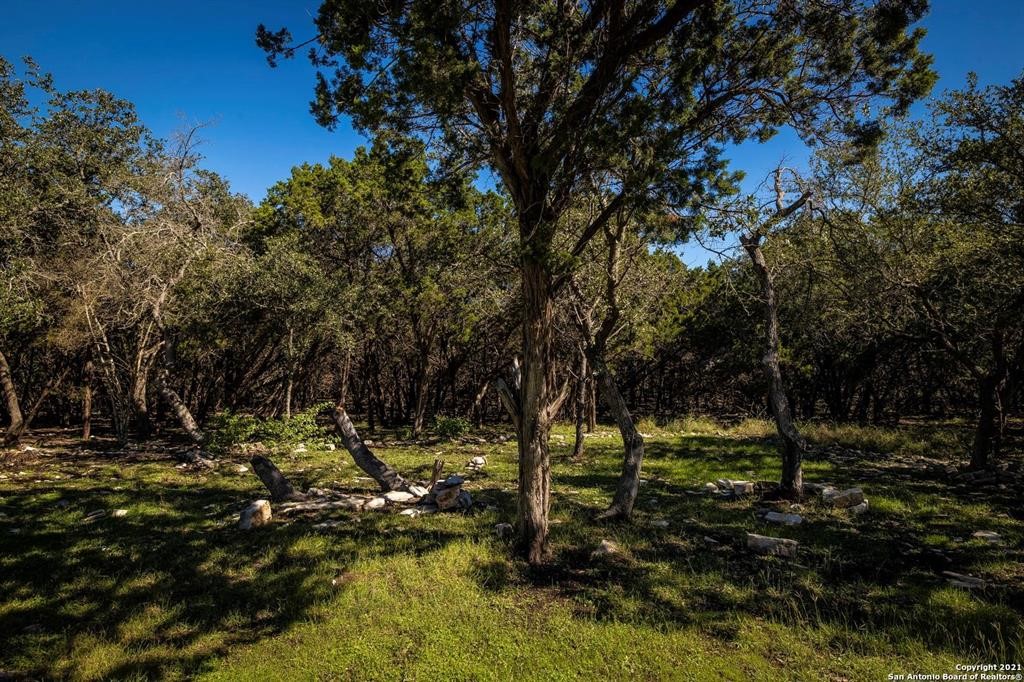 2224 Misty Hollow Property Photo 7