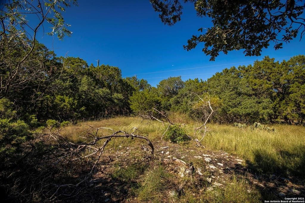 2224 Misty Hollow Property Photo 8