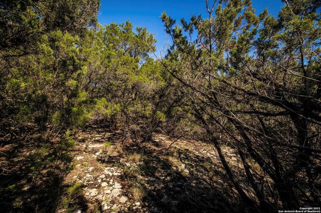2224 Misty Hollow Property Photo 9