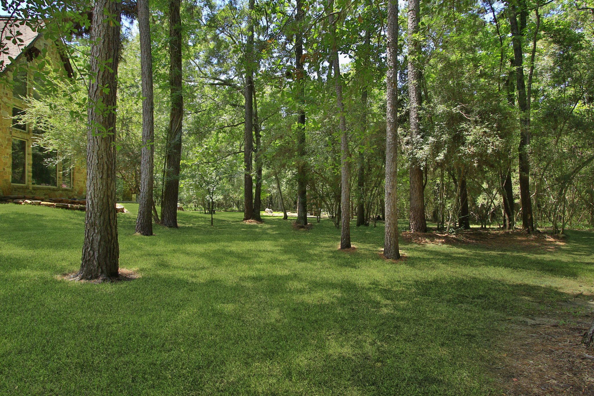 28913 Pleasant Forest Property Photo 45