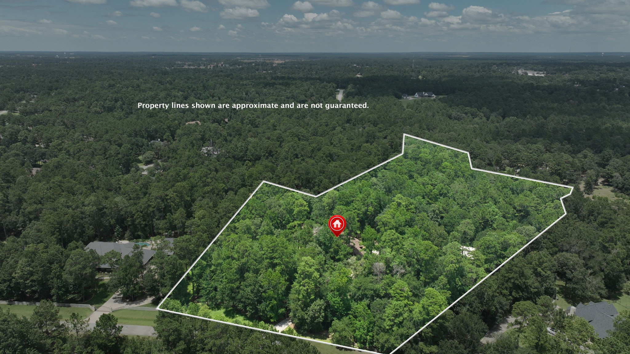 28913 Pleasant Forest Property Photo 47