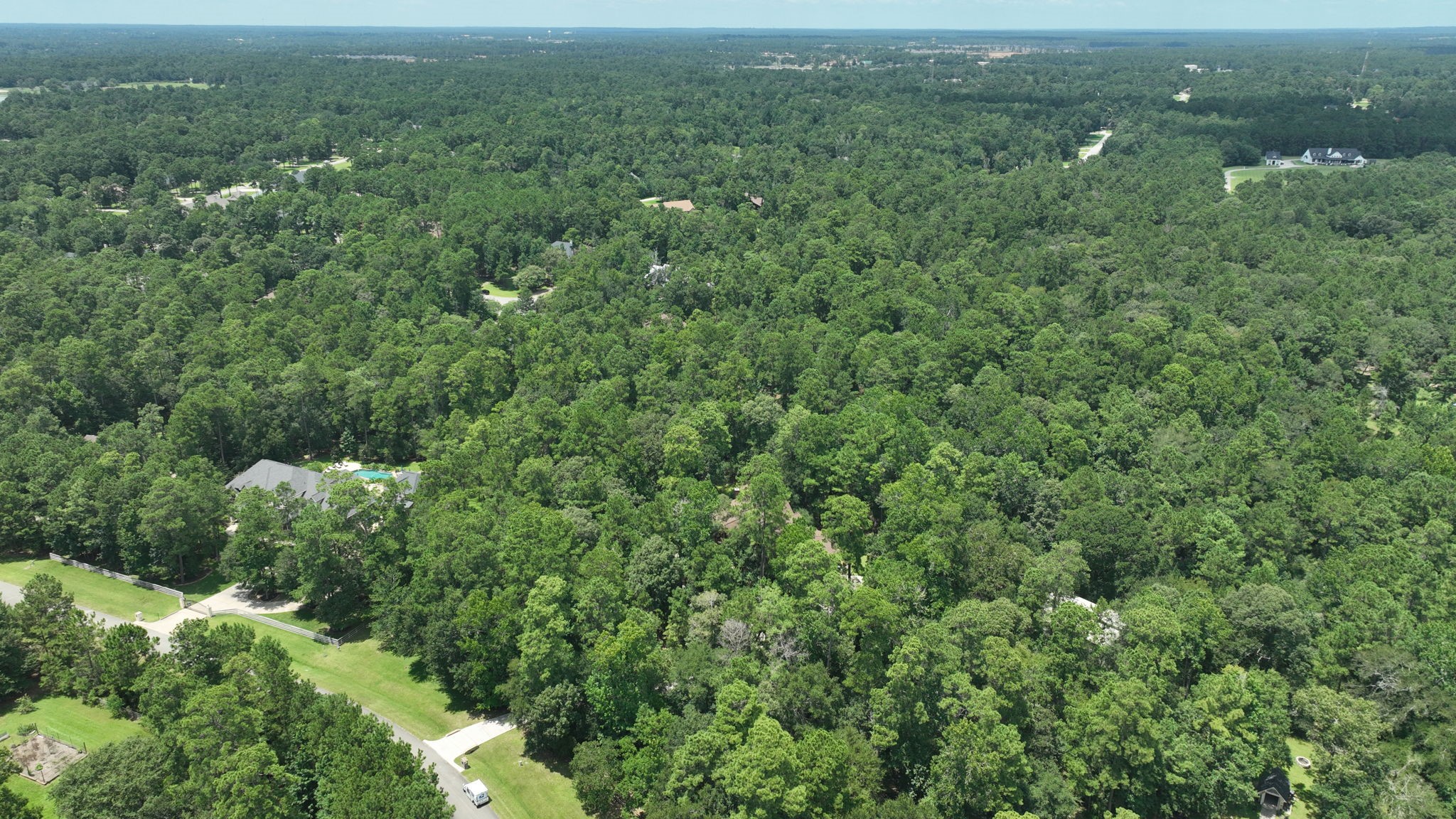 28913 Pleasant Forest Property Photo 49