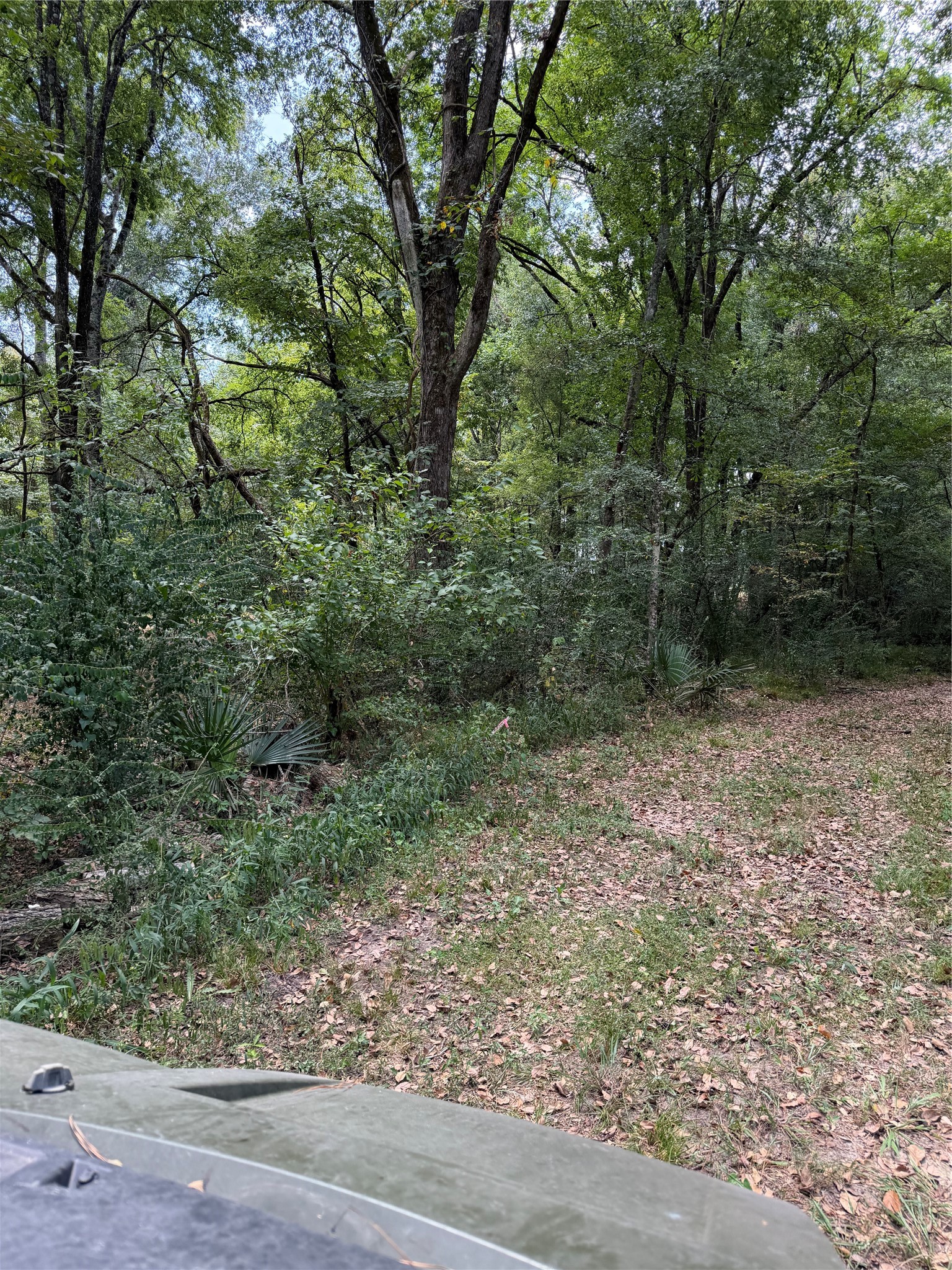11 D Kenle Lane Property Photo 2