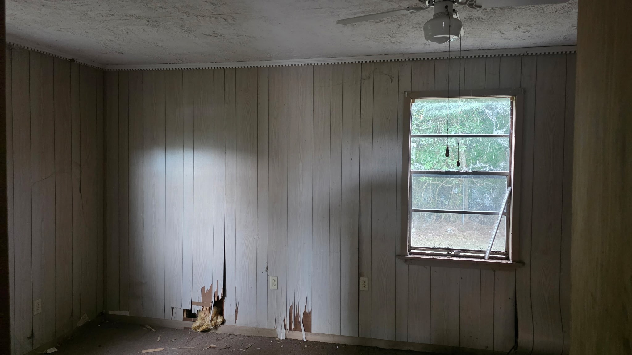 1317 Main Street Property Photo 14