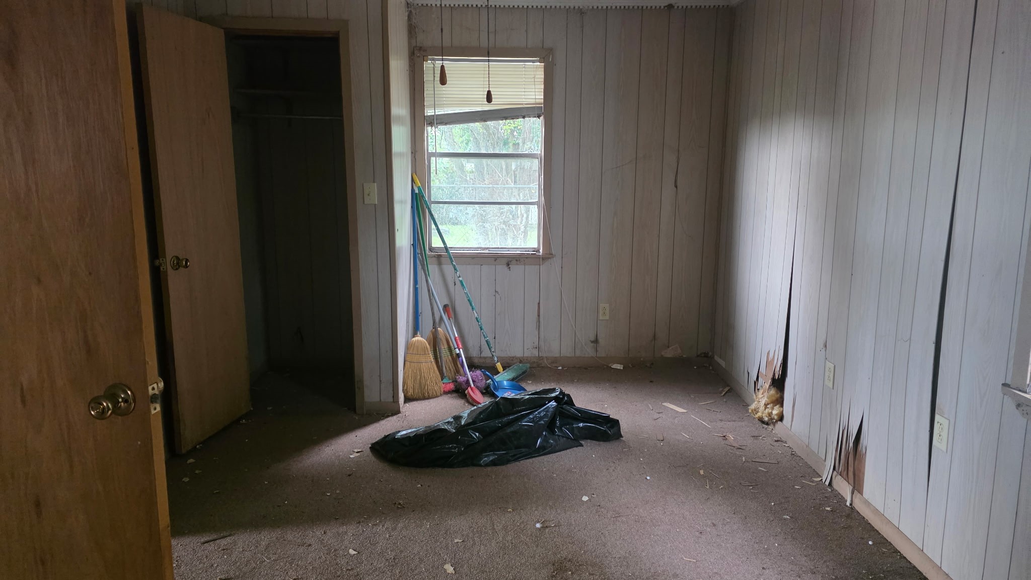 1317 Main Street Property Photo 20