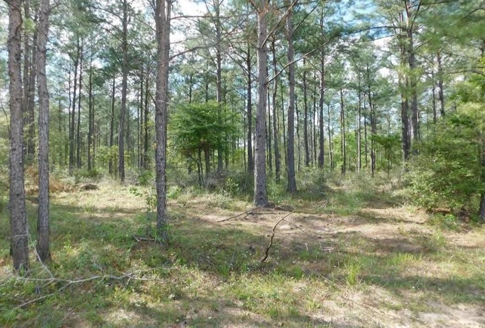 Tbd Lloyd Walker Rd Property Photo