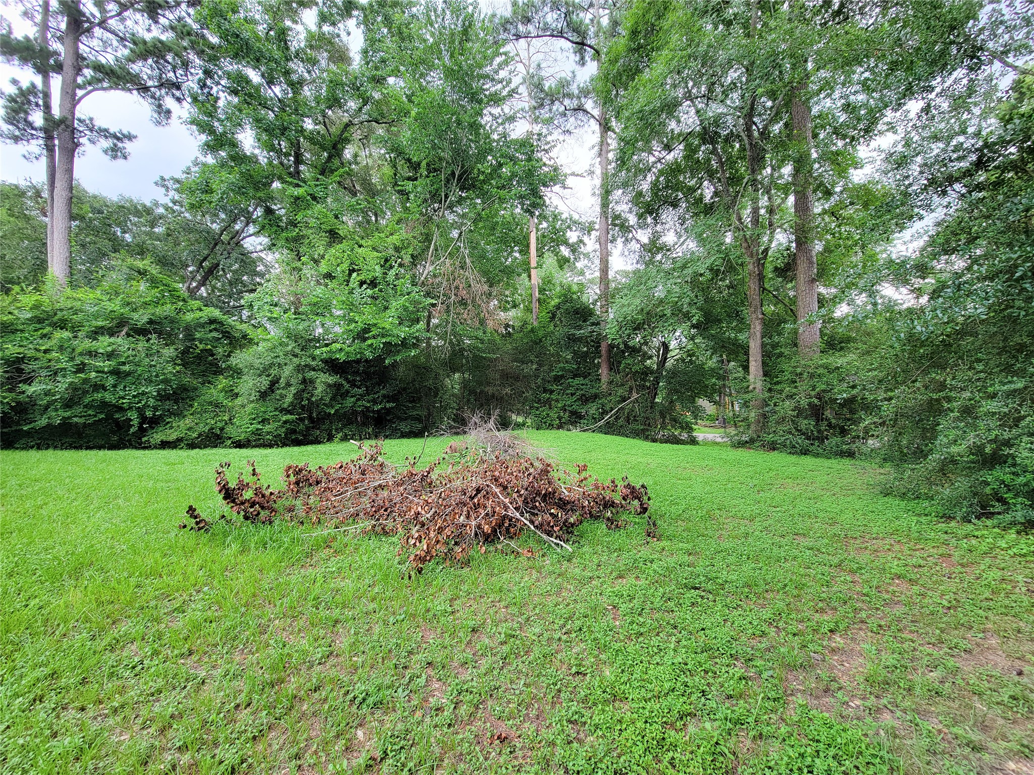12700 Royal Green Drive Property Photo 43