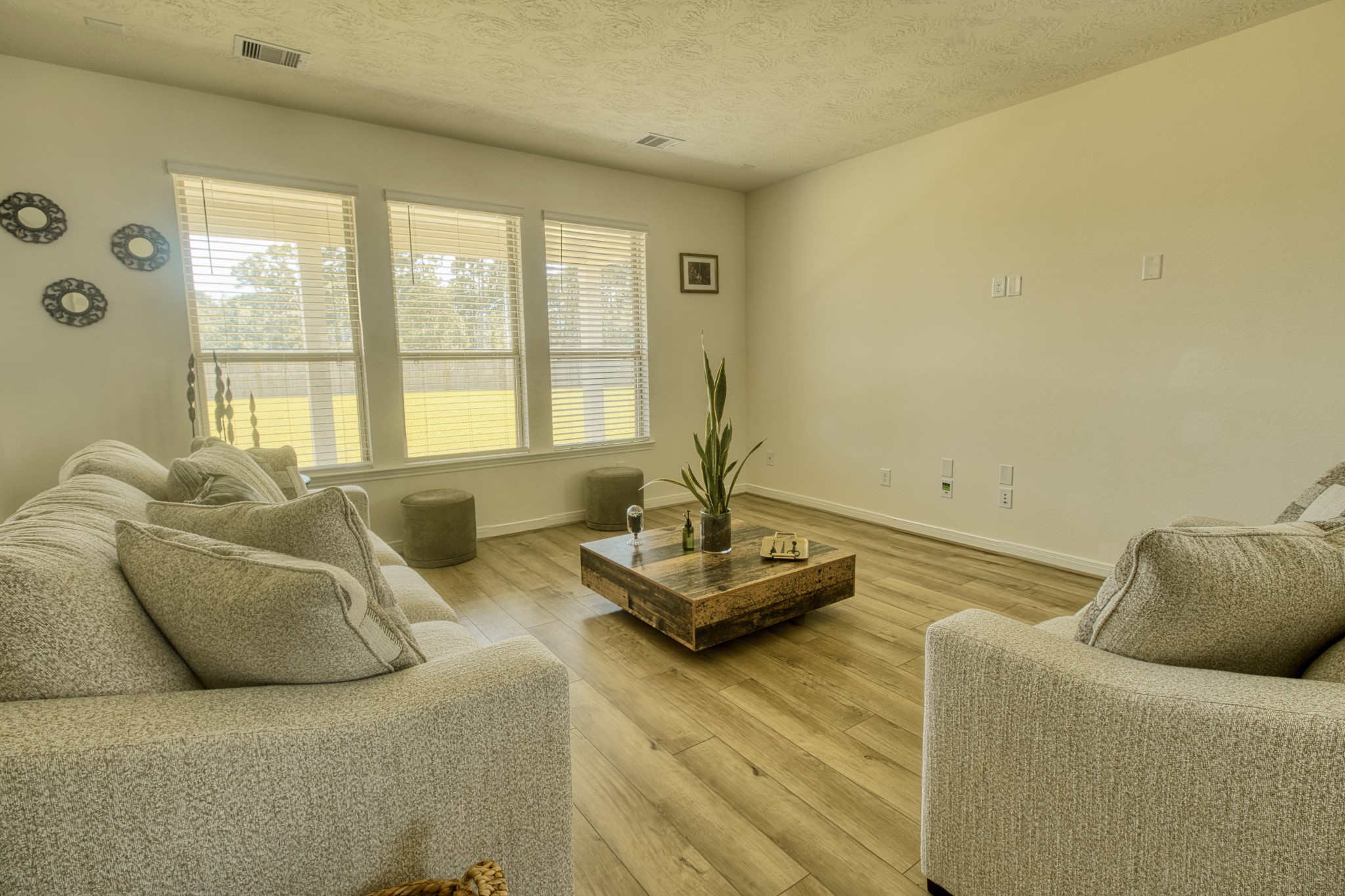 3539 Sage Green Trail Property Photo 8