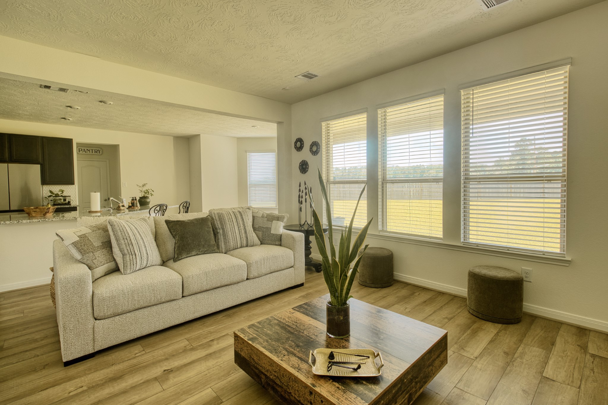 3539 Sage Green Trail Property Photo 9