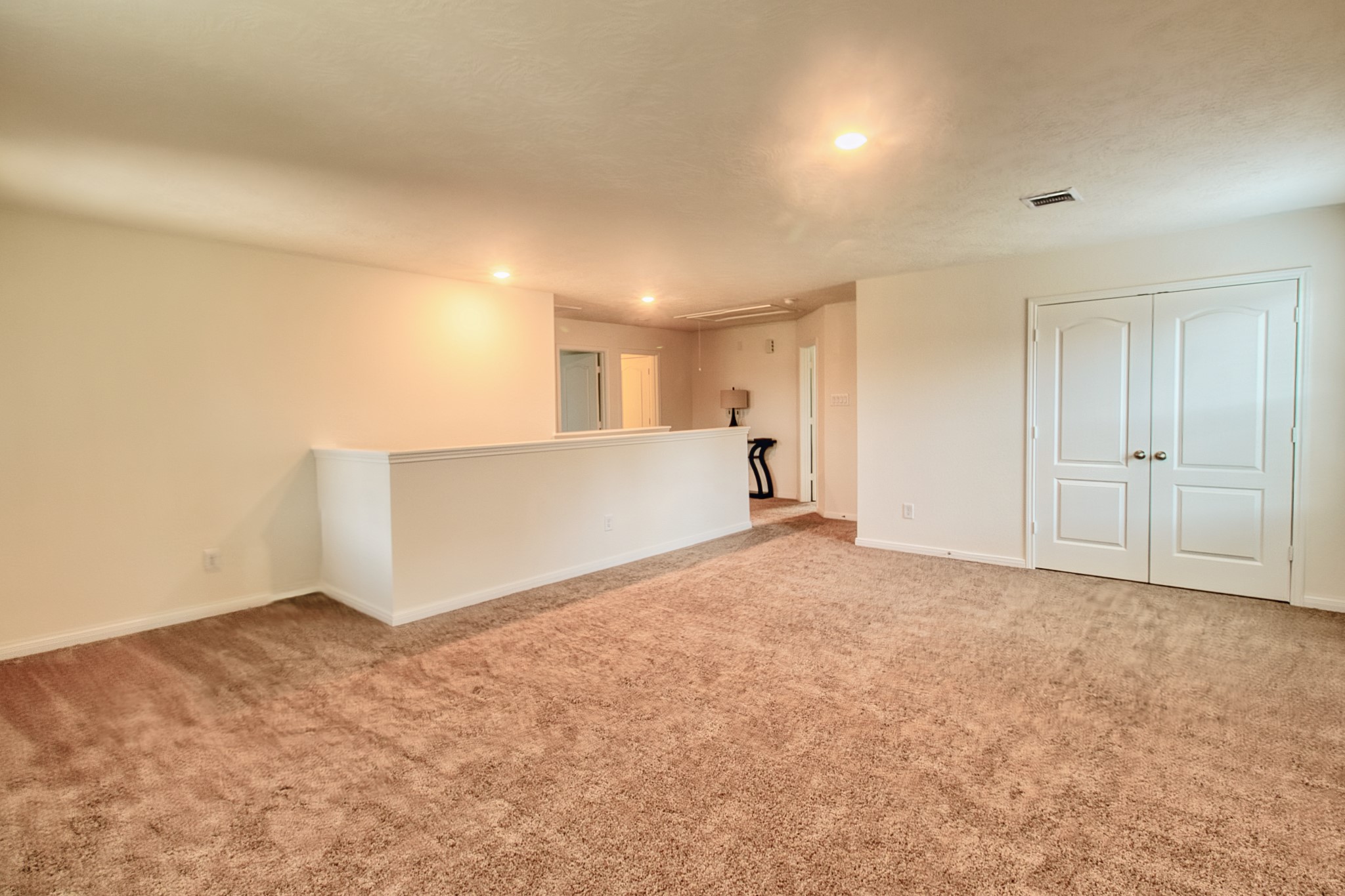 3539 Sage Green Trail Property Photo 17
