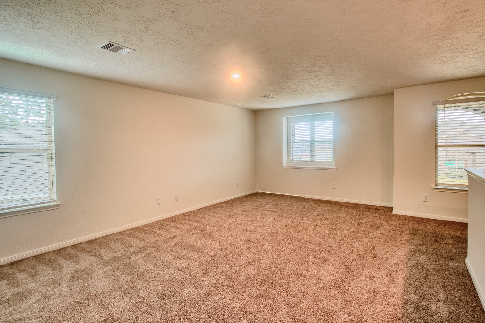 3539 Sage Green Trail Property Photo 19