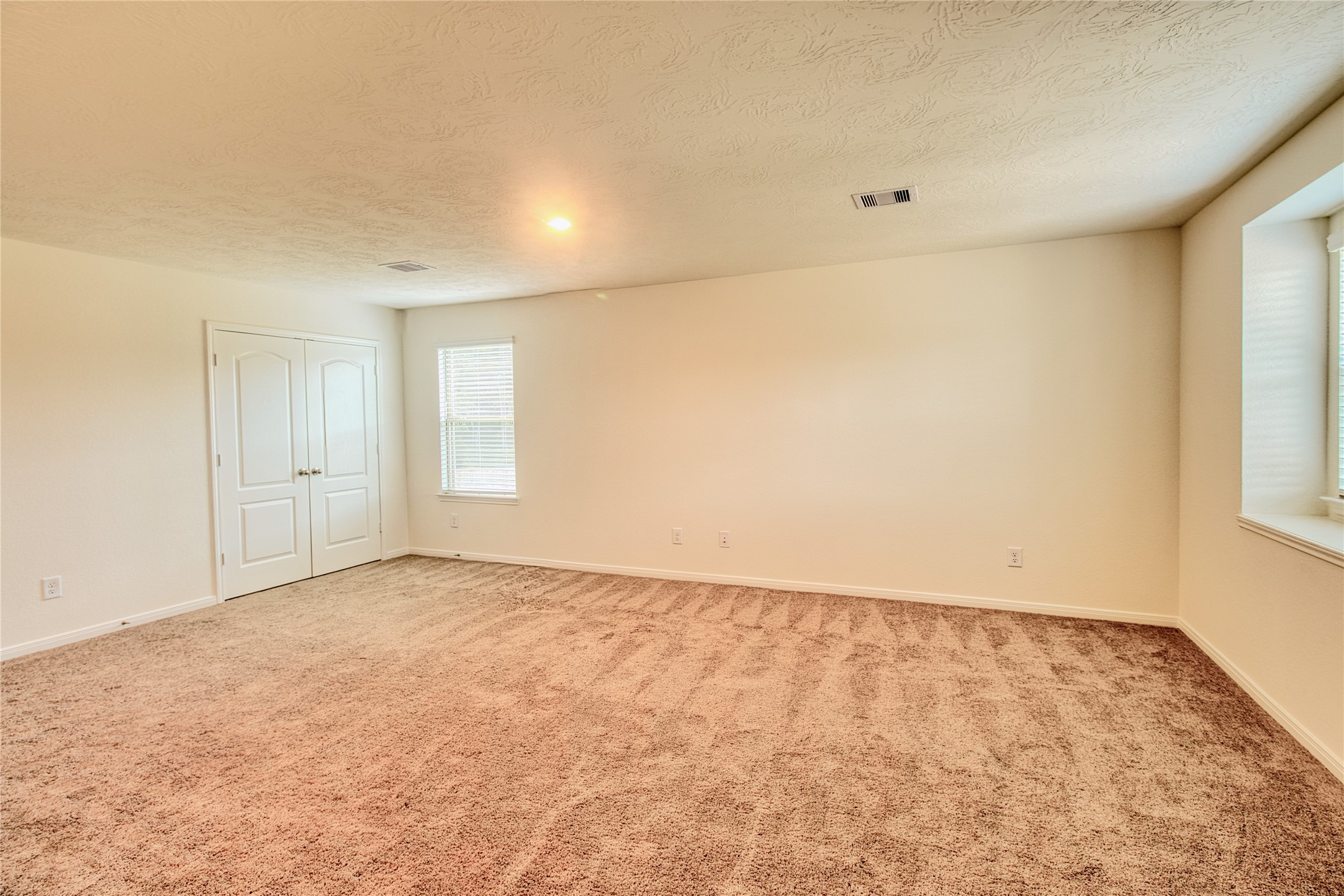 3539 Sage Green Trail Property Photo 20