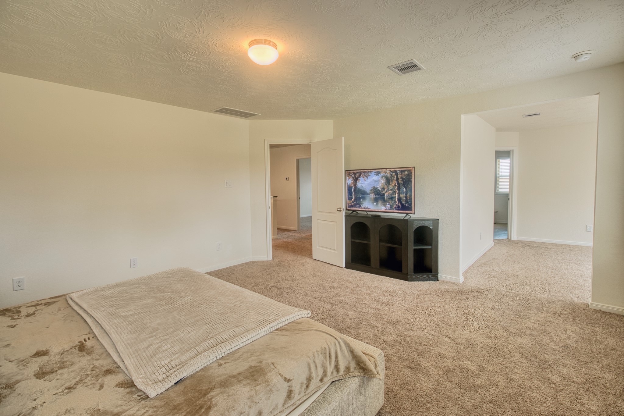 3539 Sage Green Trail Property Photo 22