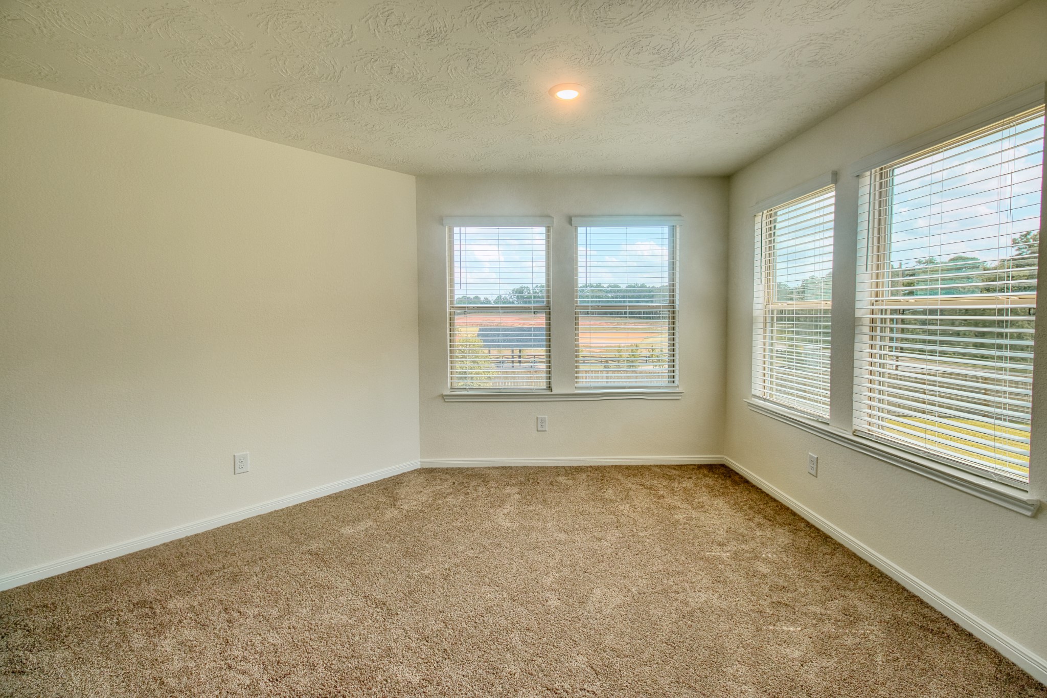 3539 Sage Green Trail Property Photo 24