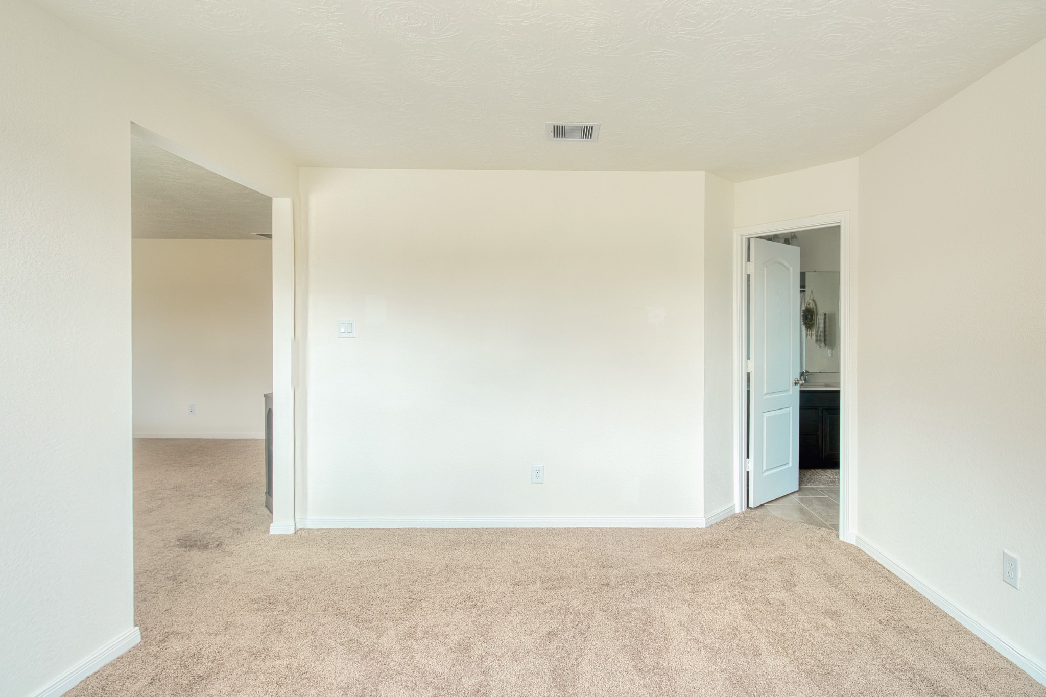 3539 Sage Green Trail Property Photo 25