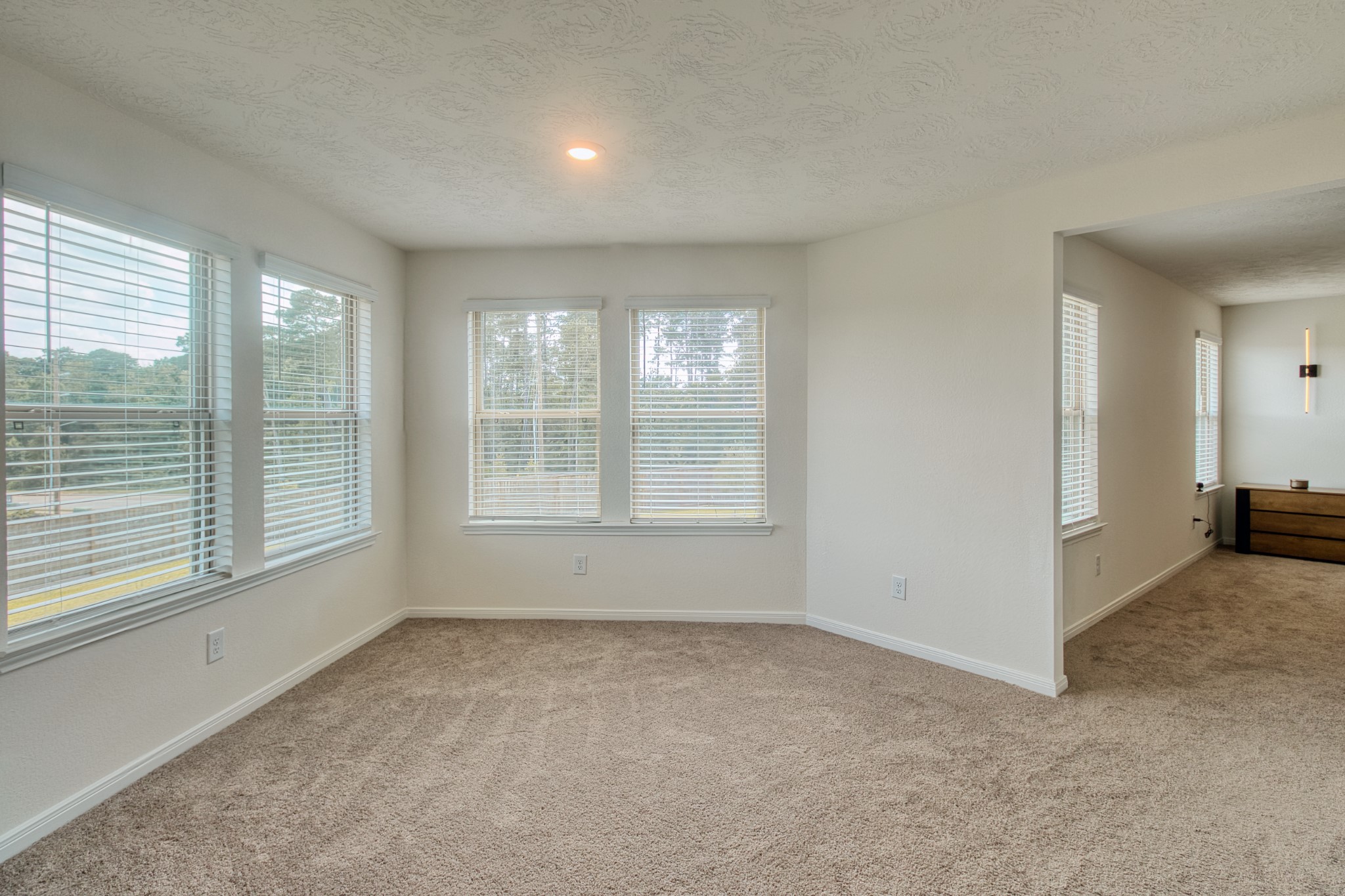 3539 Sage Green Trail Property Photo 26