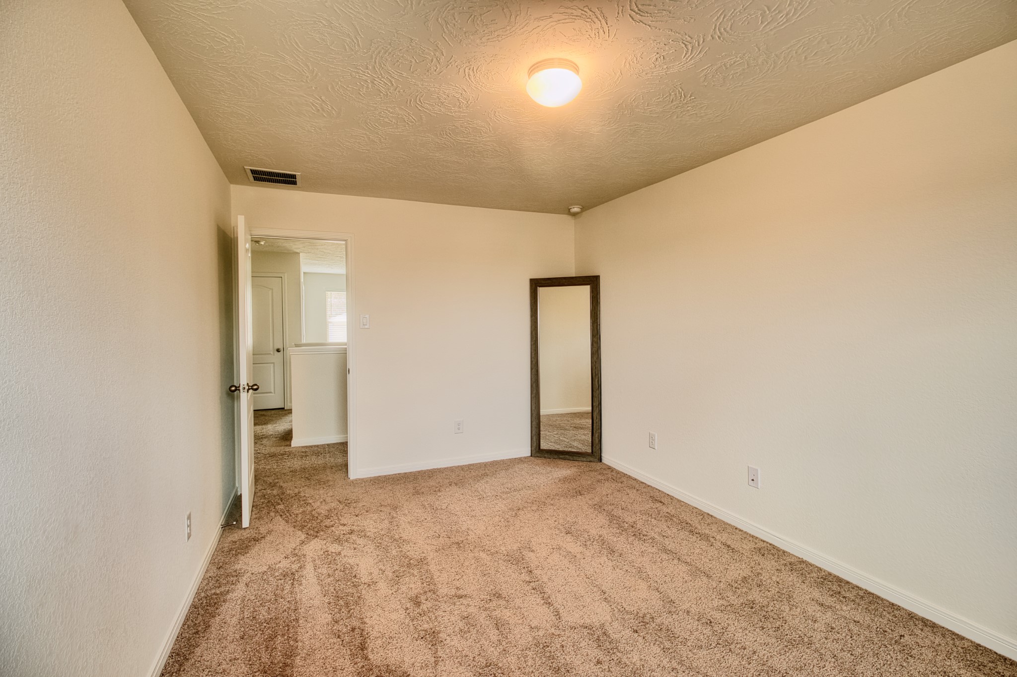 3539 Sage Green Trail Property Photo 31