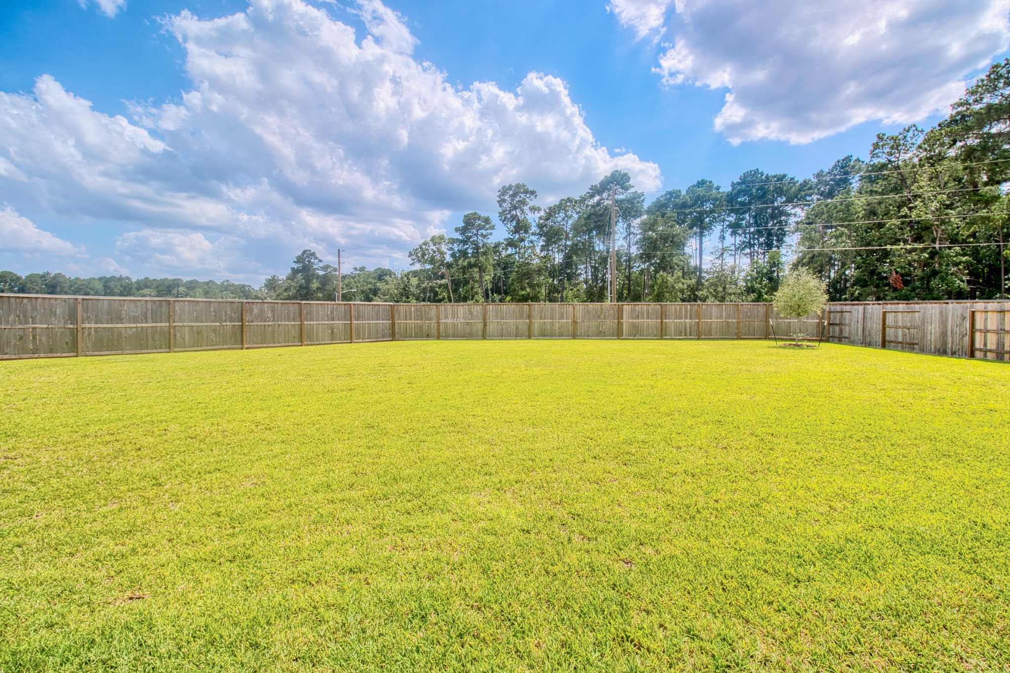 3539 Sage Green Trail Property Photo 37